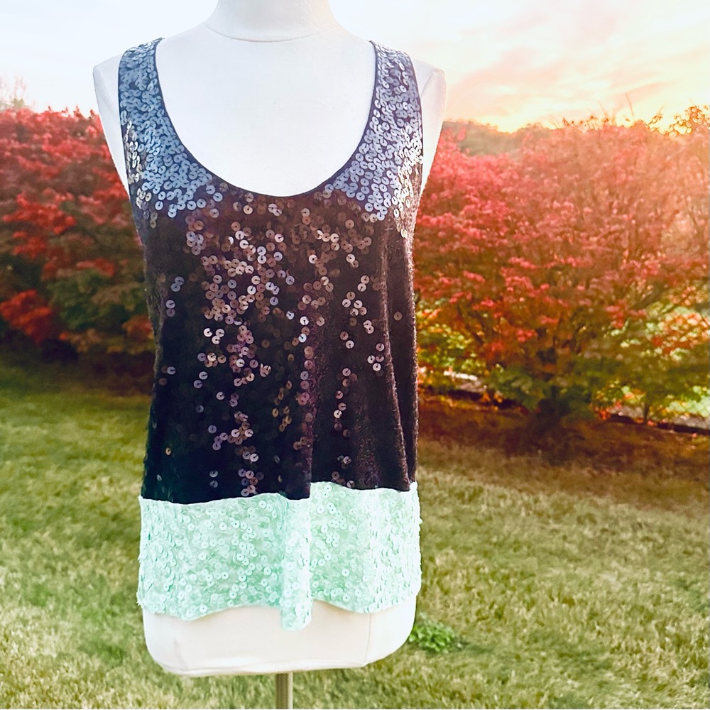J. Crew Navy and Aqua Sequin tank